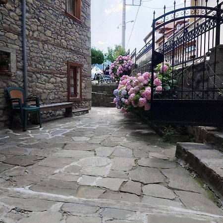 Arka Metsovo Otel Dış mekan fotoğraf