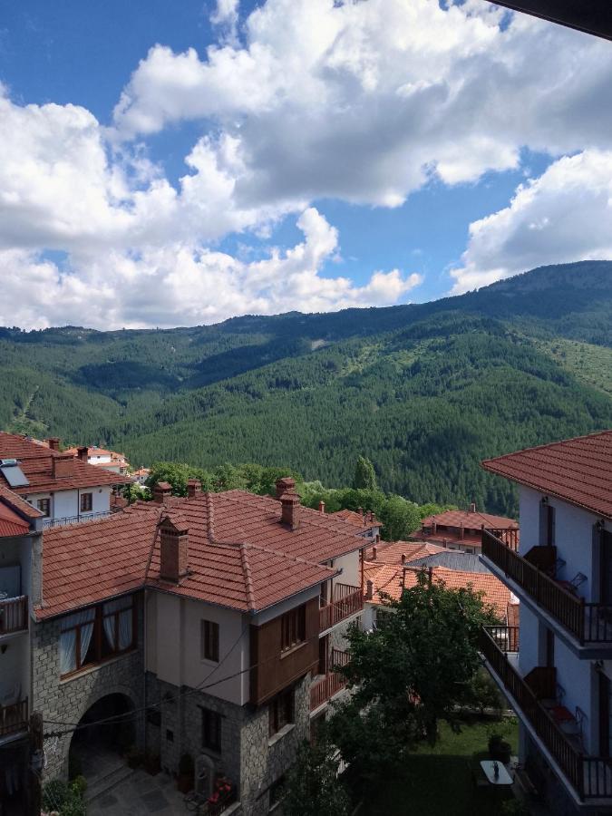 Arka Metsovo Otel Dış mekan fotoğraf