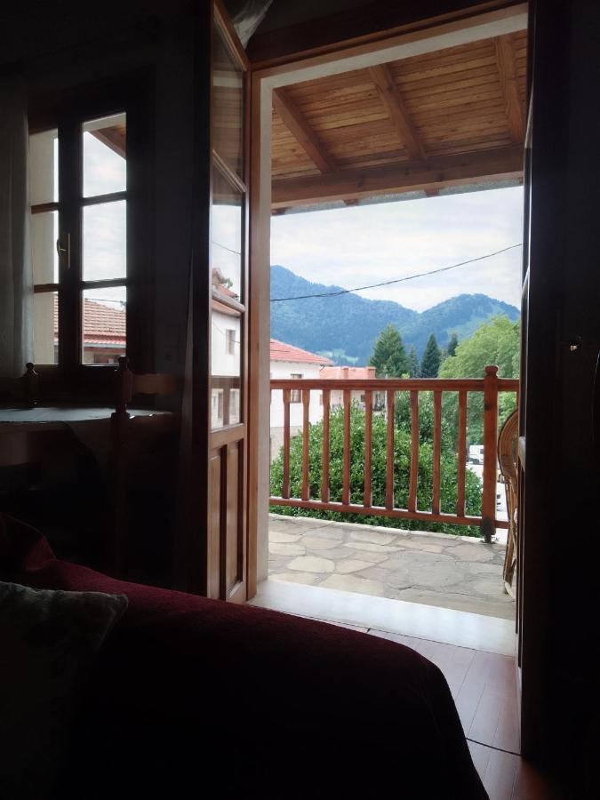 Arka Metsovo Otel Dış mekan fotoğraf