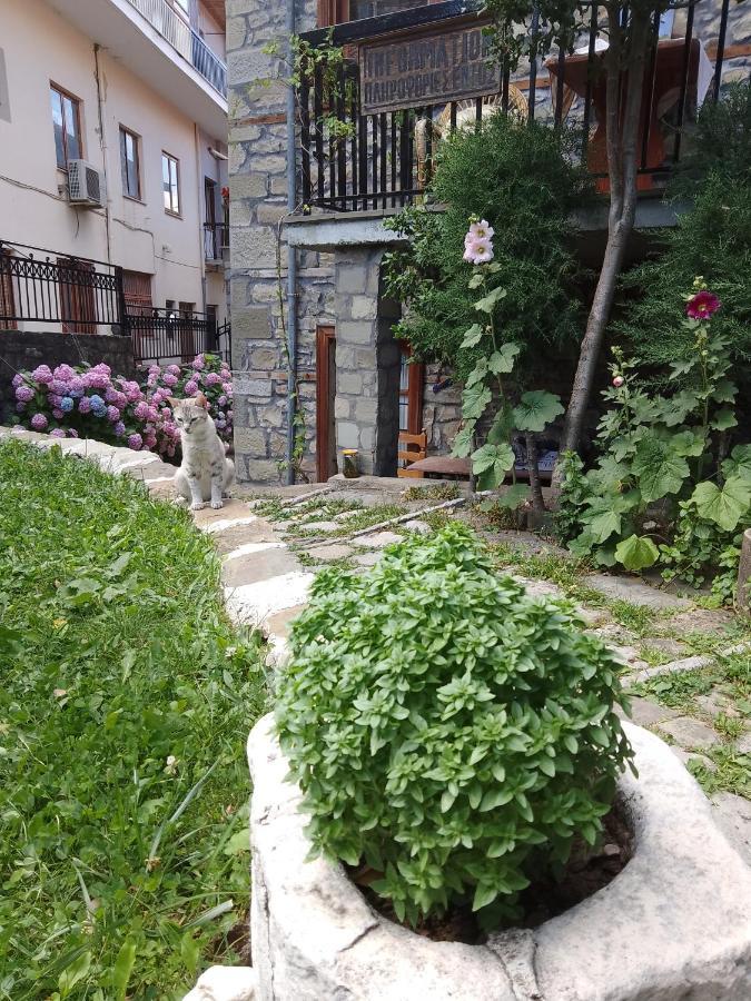 Arka Metsovo Otel Dış mekan fotoğraf