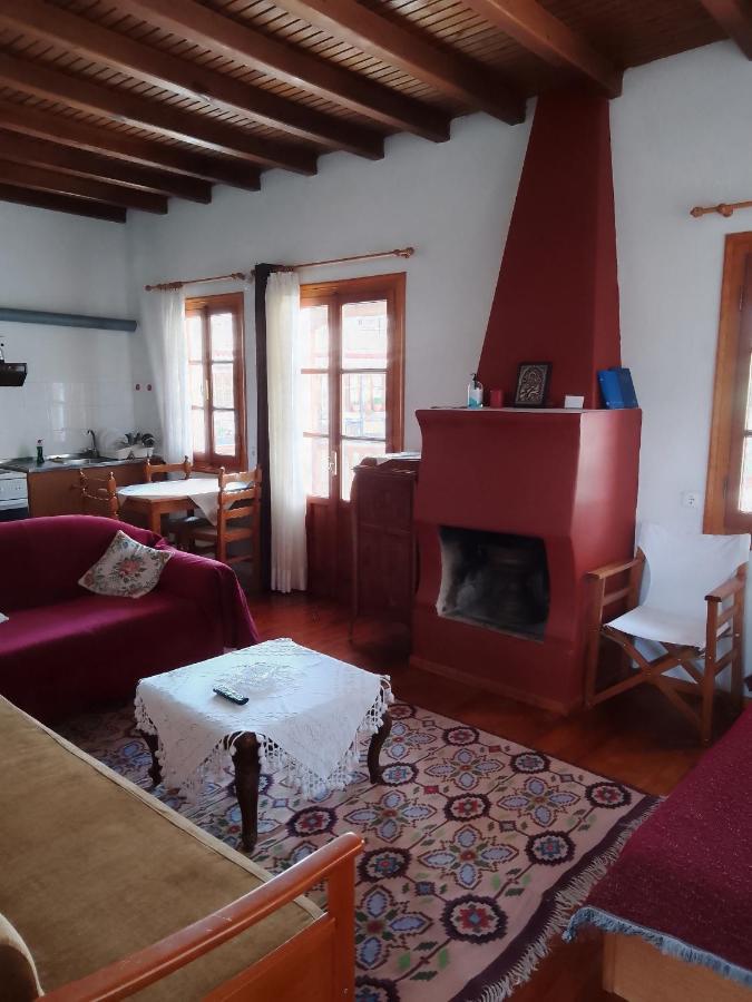 Arka Metsovo Otel Dış mekan fotoğraf