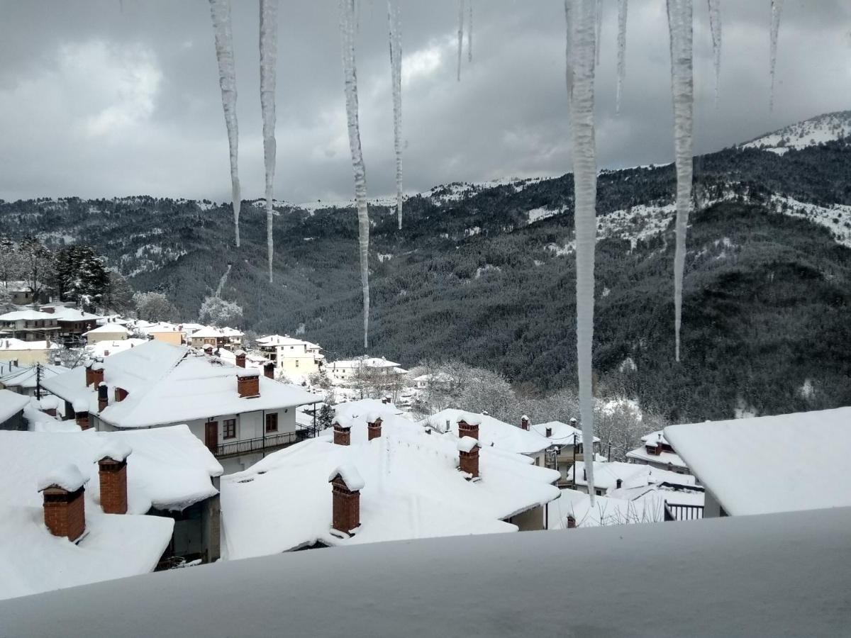 Arka Metsovo Otel Dış mekan fotoğraf