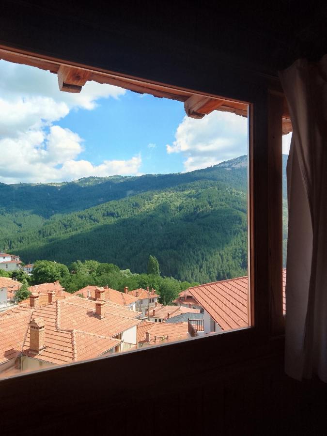 Arka Metsovo Otel Dış mekan fotoğraf