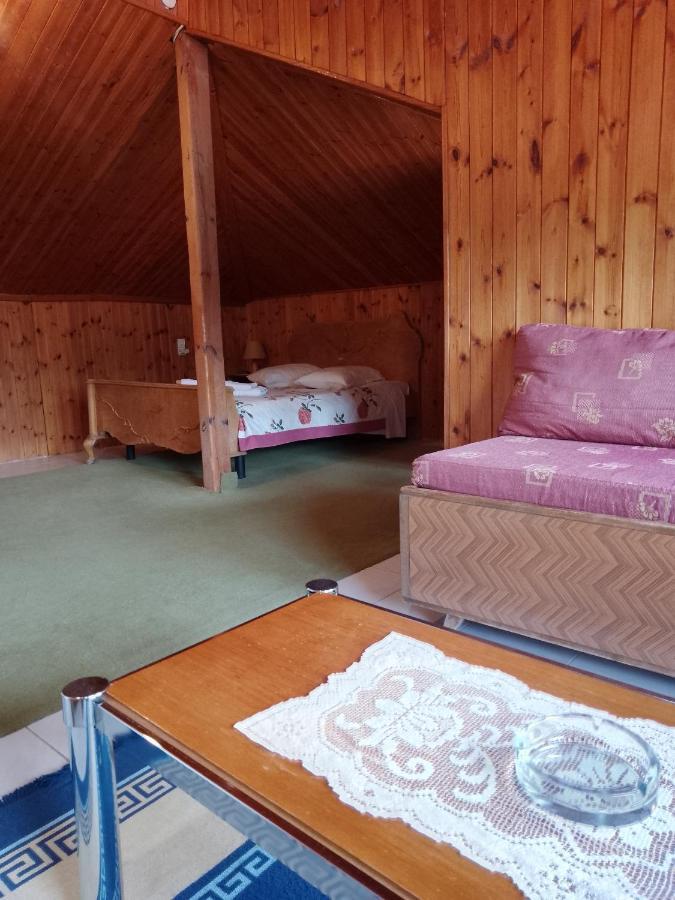 Arka Metsovo Otel Dış mekan fotoğraf